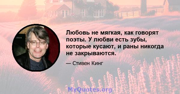 Любовь не мягкая, как говорят поэты. У любви есть зубы, которые кусают, и раны никогда не закрываются.