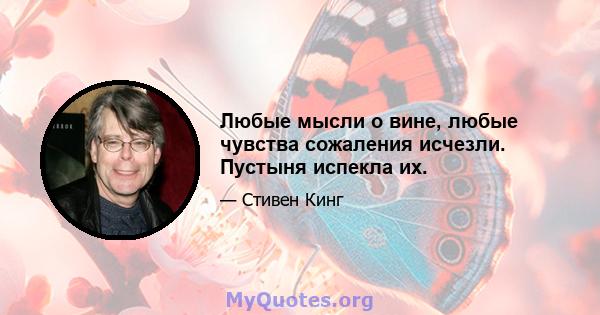 Любые мысли о вине, любые чувства сожаления исчезли. Пустыня испекла их.