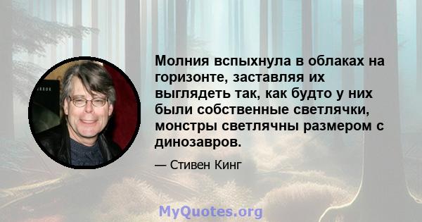 Молния вспыхнула в облаках на горизонте, заставляя их выглядеть так, как будто у них были собственные светлячки, монстры светлячны размером с динозавров.