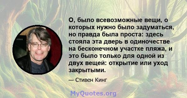 О, было всевозможные вещи, о которых нужно было задуматься, но правда была проста: здесь стояла эта дверь в одиночестве на бесконечном участке пляжа, и это было только для одной из двух вещей: открытие или уход