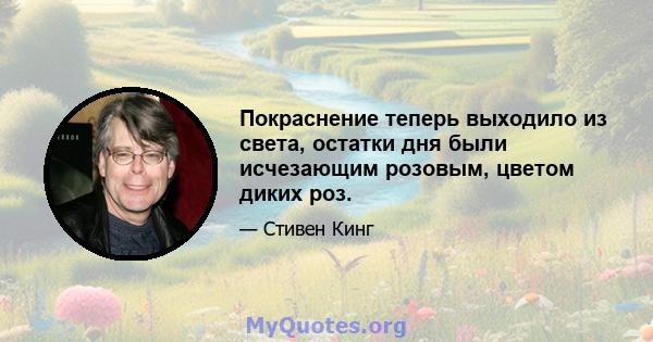 Покраснение теперь выходило из света, остатки дня были исчезающим розовым, цветом диких роз.