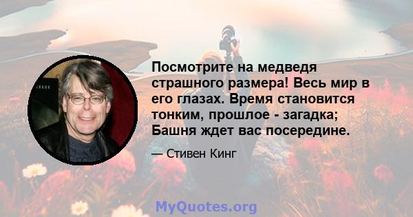 Посмотрите на медведя страшного размера! Весь мир в его глазах. Время становится тонким, прошлое - загадка; Башня ждет вас посередине.