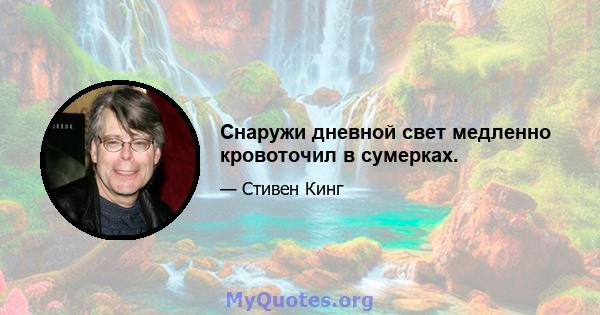 Снаружи дневной свет медленно кровоточил в сумерках.