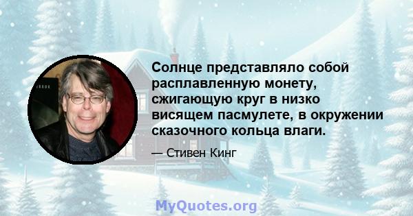 Солнце представляло собой расплавленную монету, сжигающую круг в низко висящем пасмулете, в окружении сказочного кольца влаги.