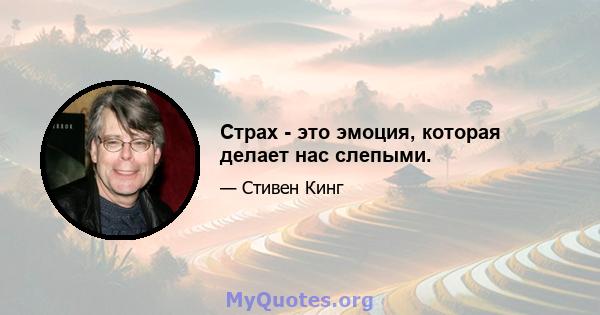 Страх - это эмоция, которая делает нас слепыми.