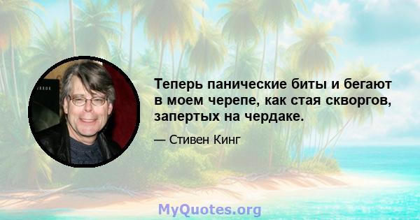 Теперь панические биты и бегают в моем черепе, как стая скворгов, запертых на чердаке.