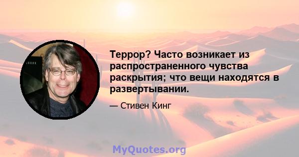 Террор? Часто возникает из распространенного чувства раскрытия; что вещи находятся в развертывании.