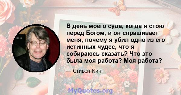 В день моего суда, когда я стою перед Богом, и он спрашивает меня, почему я убил одно из его истинных чудес, что я собираюсь сказать? Что это была моя работа? Моя работа?