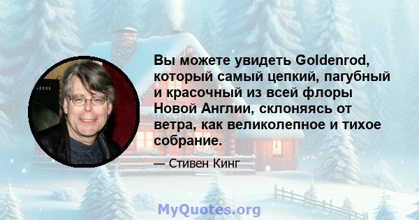 Вы можете увидеть Goldenrod, который самый цепкий, пагубный и красочный из всей флоры Новой Англии, склоняясь от ветра, как великолепное и тихое собрание.