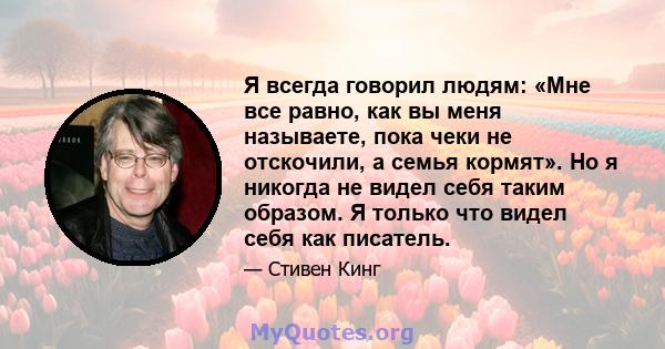 Я всегда говорил людям: «Мне все равно, как вы меня называете, пока чеки не отскочили, а семья кормят». Но я никогда не видел себя таким образом. Я только что видел себя как писатель.