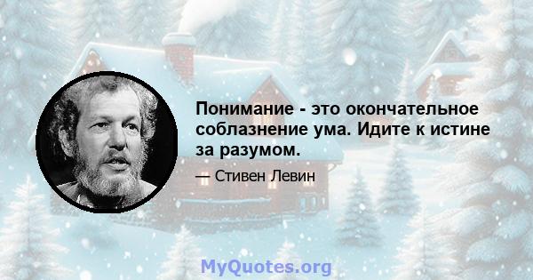 Понимание - это окончательное соблазнение ума. Идите к истине за разумом.