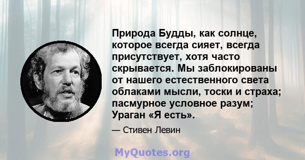 Природа Будды, как солнце, которое всегда сияет, всегда присутствует, хотя часто скрывается. Мы заблокированы от нашего естественного света облаками мысли, тоски и страха; пасмурное условное разум; Ураган «Я есть».