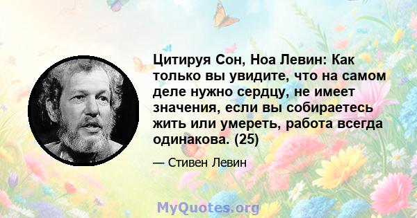 Цитируя Сон, Ноа Левин: Как только вы увидите, что на самом деле нужно сердцу, не имеет значения, если вы собираетесь жить или умереть, работа всегда одинакова. (25)