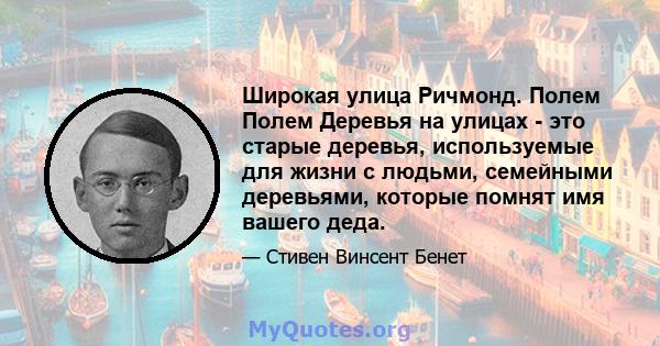 Широкая улица Ричмонд. Полем Полем Деревья на улицах - это старые деревья, используемые для жизни с людьми, семейными деревьями, которые помнят имя вашего деда.