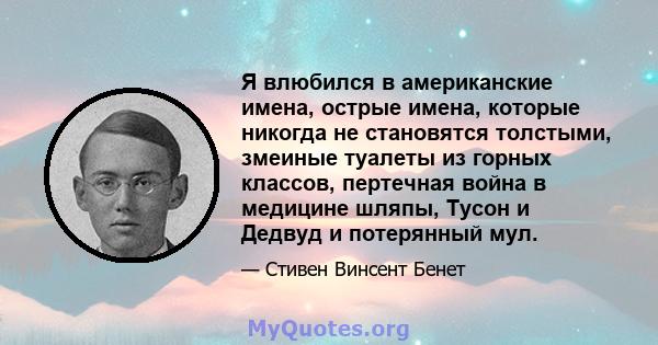 Я влюбился в американские имена, острые имена, которые никогда не становятся толстыми, змеиные туалеты из горных классов, пертечная война в медицине шляпы, Тусон и Дедвуд и потерянный мул.