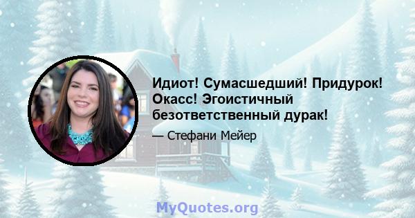 Идиот! Сумасшедший! Придурок! Окасс! Эгоистичный безответственный дурак!