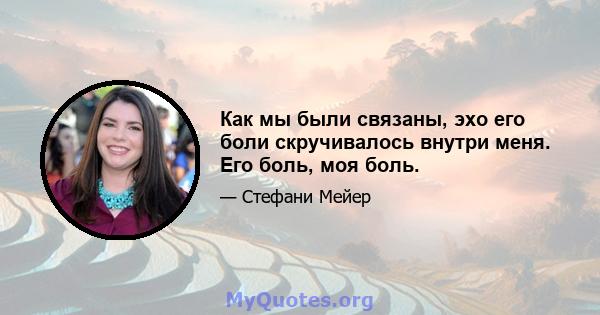 Как мы были связаны, эхо его боли скручивалось внутри меня. Его боль, моя боль.