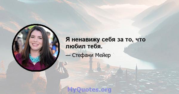 Я ненавижу себя за то, что любил тебя.