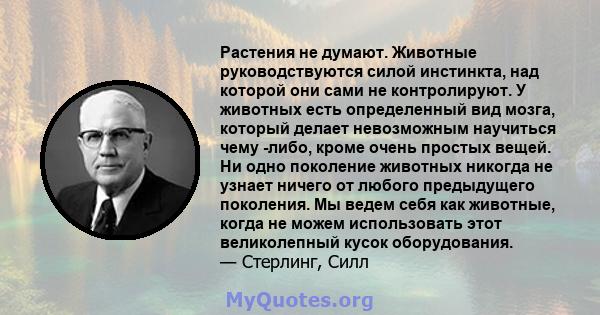 Растения не думают. Животные руководствуются силой инстинкта, над которой они сами не контролируют. У животных есть определенный вид мозга, который делает невозможным научиться чему -либо, кроме очень простых вещей. Ни