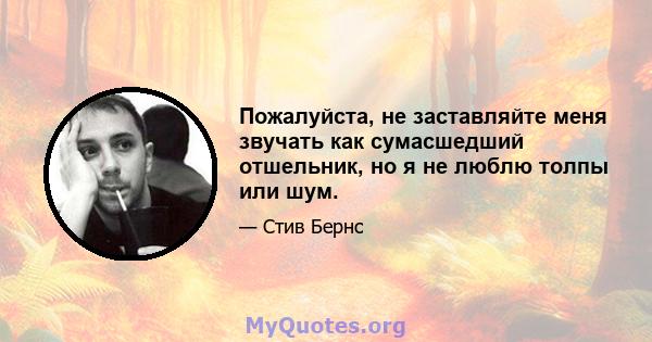 Пожалуйста, не заставляйте меня звучать как сумасшедший отшельник, но я не люблю толпы или шум.