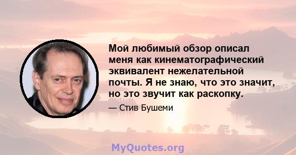 Мой любимый обзор описал меня как кинематографический эквивалент нежелательной почты. Я не знаю, что это значит, но это звучит как раскопку.