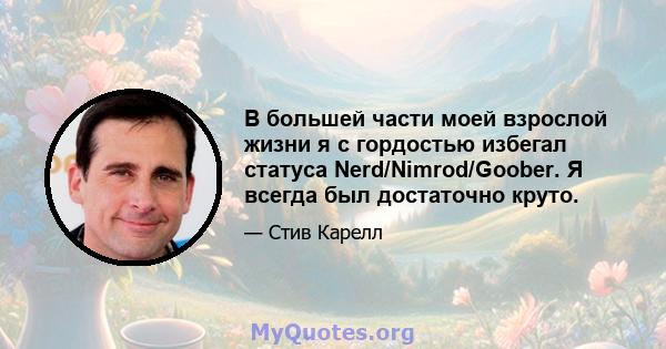 В большей части моей взрослой жизни я с гордостью избегал статуса Nerd/Nimrod/Goober. Я всегда был достаточно круто.