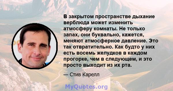 В закрытом пространстве дыхание верблюда может изменить атмосферу комнаты. Не только запах, они буквально, кажется, меняют атмосферное давление. Это так отвратительно. Как будто у них есть восемь желудков в каждом