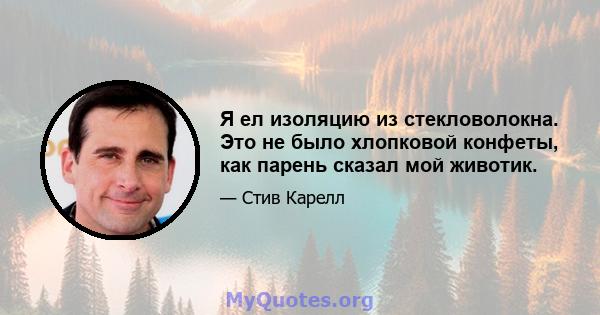 Я ел изоляцию из стекловолокна. Это не было хлопковой конфеты, как парень сказал мой животик.