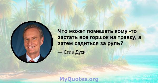 Что может помешать кому -то застать все горшок на травку, а затем садиться за руль?