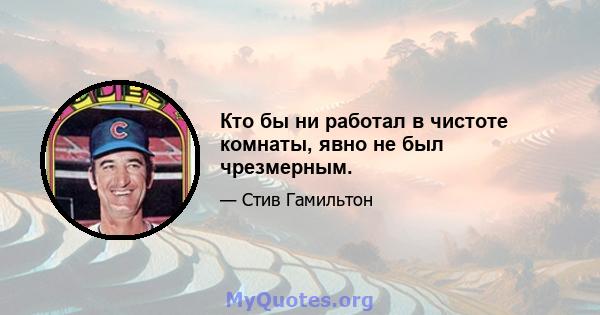 Кто бы ни работал в чистоте комнаты, явно не был чрезмерным.