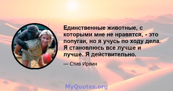 Единственные животные, с которыми мне не нравятся, - это попугаи, но я учусь по ходу дела. Я становлюсь все лучше и лучше. Я действительно.