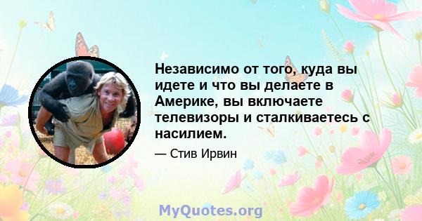 Независимо от того, куда вы идете и что вы делаете в Америке, вы включаете телевизоры и сталкиваетесь с насилием.