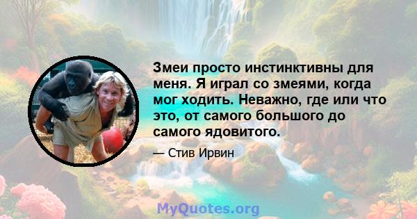 Змеи просто инстинктивны для меня. Я играл со змеями, когда мог ходить. Неважно, где или что это, от самого большого до самого ядовитого.