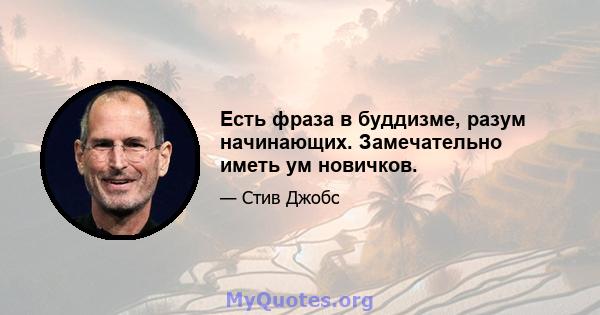 Есть фраза в буддизме, разум начинающих. Замечательно иметь ум новичков.