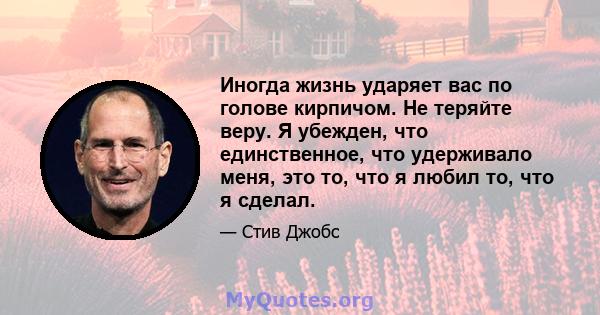 Иногда жизнь ударяет вас по голове кирпичом. Не теряйте веру. Я убежден, что единственное, что удерживало меня, это то, что я любил то, что я сделал.