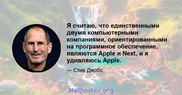 Я считаю, что единственными двумя компьютерными компаниями, ориентированными на программное обеспечение, являются Apple и Next, и я удивляюсь Apple.