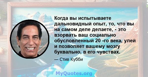 Когда вы испытываете дальновидный опыт, то, что вы на самом деле делаете, - это взорвать ваш социально обусловленный 20 -го века, улей и позволяет вашему мозгу буквально, в его чувствах.