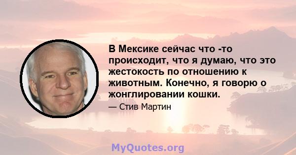 В Мексике сейчас что -то происходит, что я думаю, что это жестокость по отношению к животным. Конечно, я говорю о жонглировании кошки.