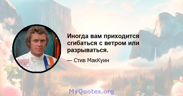 Иногда вам приходится сгибаться с ветром или разрываться.