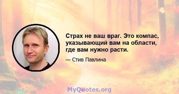 Страх не ваш враг. Это компас, указывающий вам на области, где вам нужно расти.