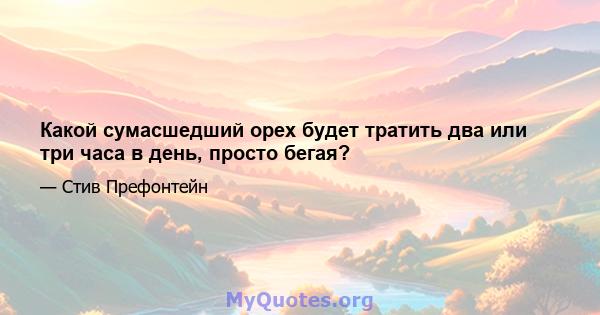 Какой сумасшедший орех будет тратить два или три часа в день, просто бегая?