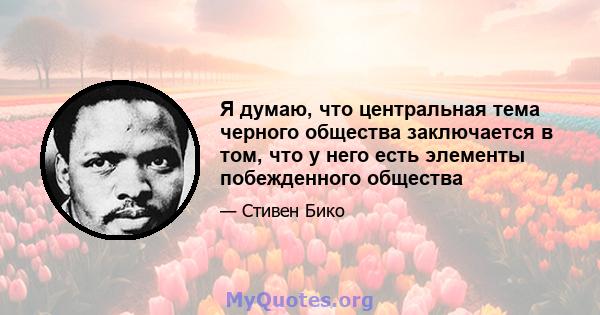 Я думаю, что центральная тема черного общества заключается в том, что у него есть элементы побежденного общества