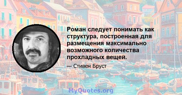 Роман следует понимать как структура, построенная для размещения максимально возможного количества прохладных вещей.