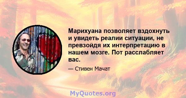 Марихуана позволяет вздохнуть и увидеть реалии ситуации, не превзойдя их интерпретацию в нашем мозге. Пот расслабляет вас.