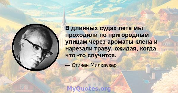 В длинных судах лета мы проходили по пригородным улицам через ароматы клена и нарезали траву, ожидая, когда что -то случится.