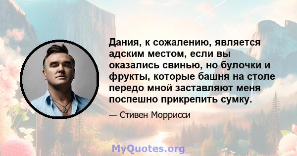 Дания, к сожалению, является адским местом, если вы оказались свинью, но булочки и фрукты, которые башня на столе передо мной заставляют меня поспешно прикрепить сумку.