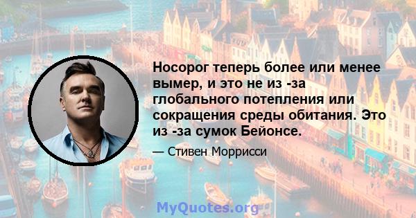 Носорог теперь более или менее вымер, и это не из -за глобального потепления или сокращения среды обитания. Это из -за сумок Бейонсе.