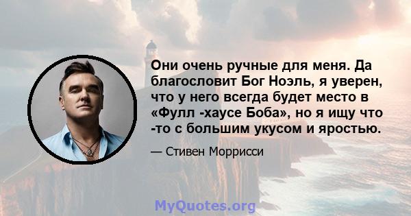 Они очень ручные для меня. Да благословит Бог Ноэль, я уверен, что у него всегда будет место в «Фулл -хаусе Боба», но я ищу что -то с большим укусом и яростью.