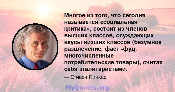 Многое из того, что сегодня называется «социальная критика», состоит из членов высших классов, осуждающих вкусы низших классов (безумное развлечение, фаст -фуд, многочисленные потребительские товары), считая себя