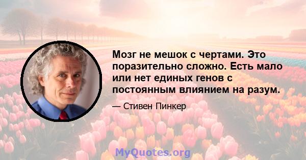 Мозг не мешок с чертами. Это поразительно сложно. Есть мало или нет единых генов с постоянным влиянием на разум.